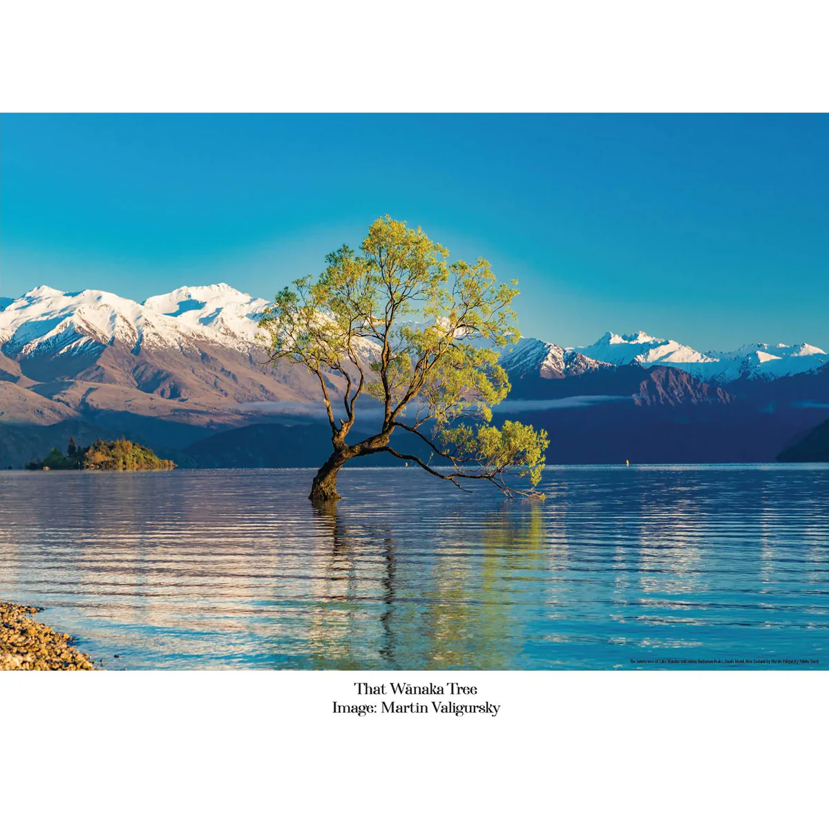 100 Piece Jigsaw - 'Wanaka Tree' - Image 2