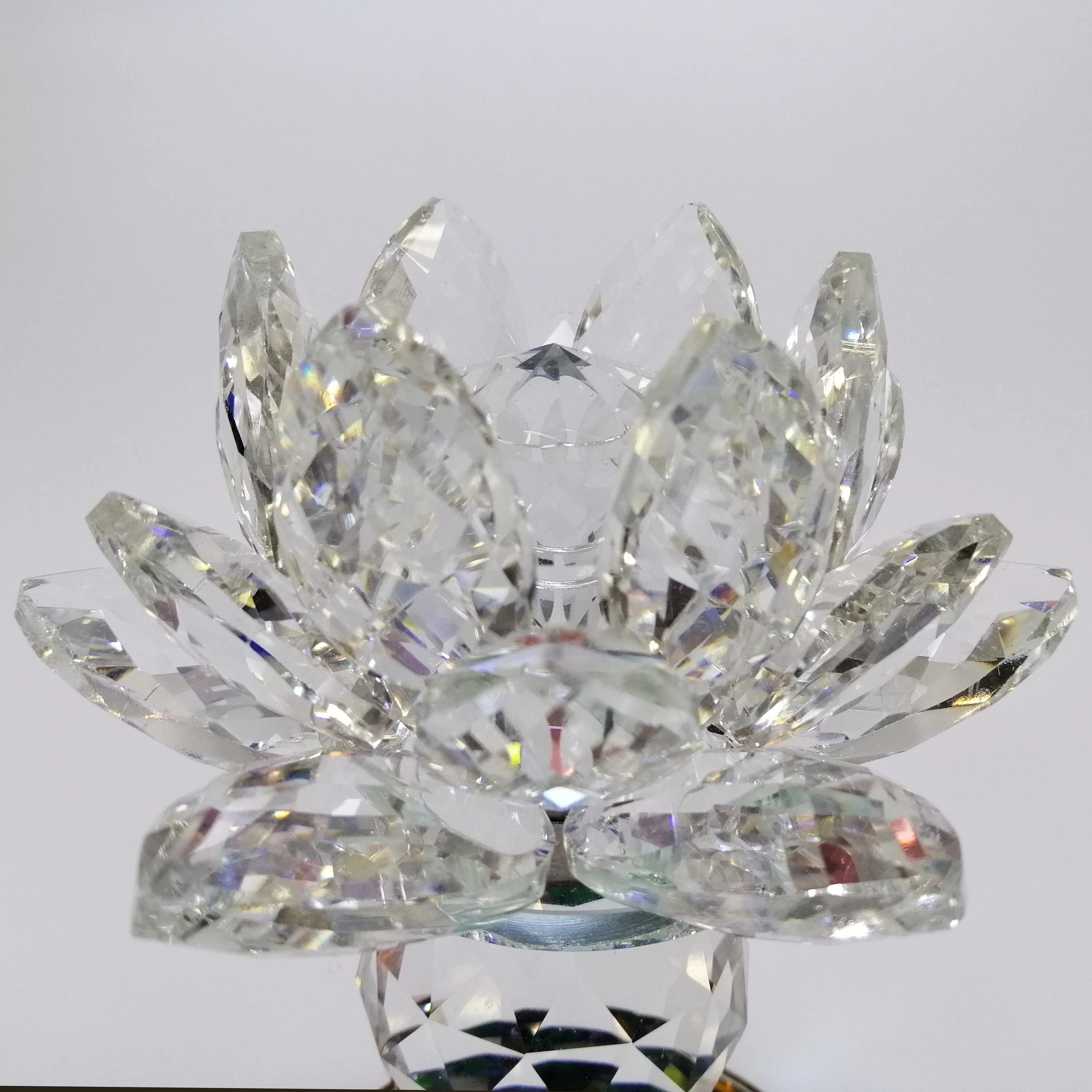 Clear Lotus with Colourful Base - Image 3