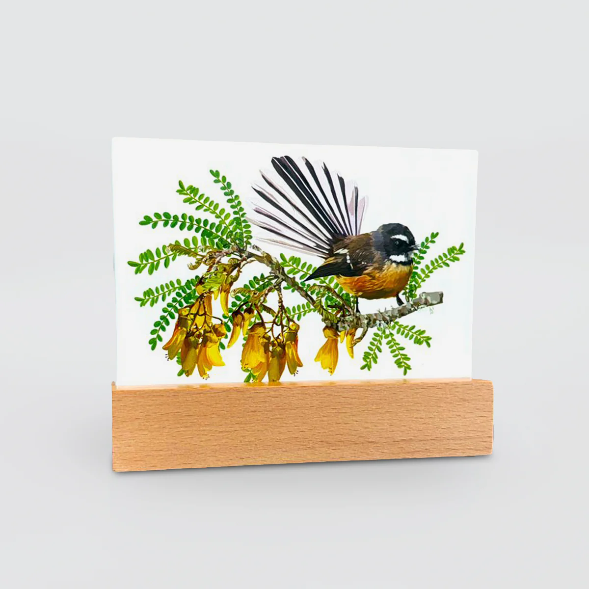 Glass Panel - 'Fantail On Kowhai'