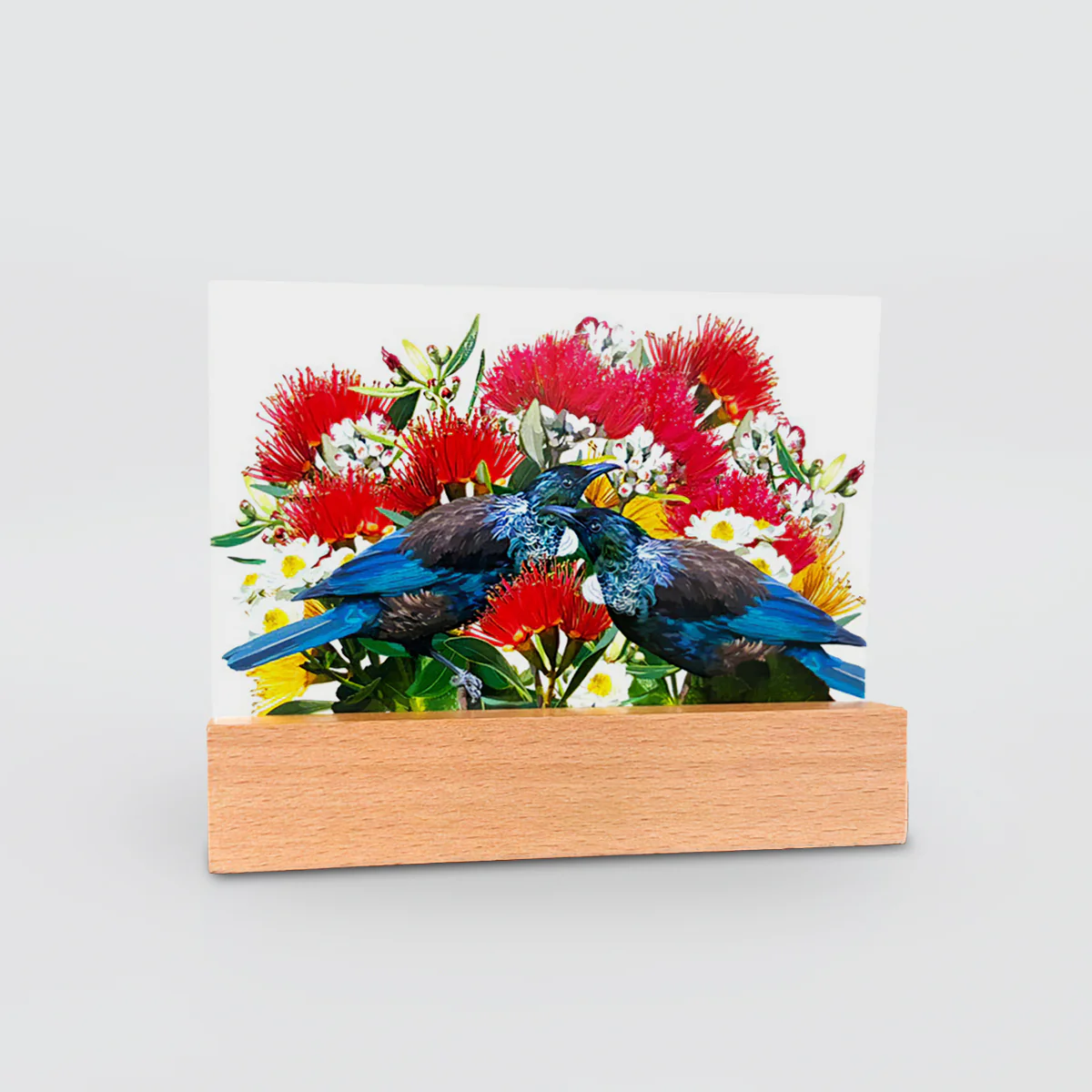 Glass Panel - 'Tui On Pohutukawa'