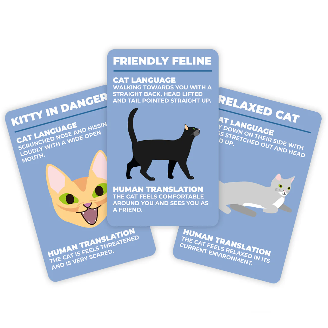 How to Speak Cat Cards - Image 2