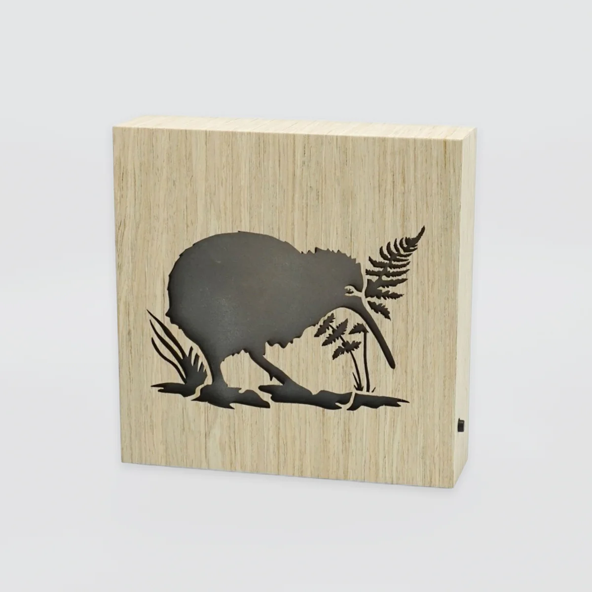 LED Kiwiana Block - 'Kiwi'