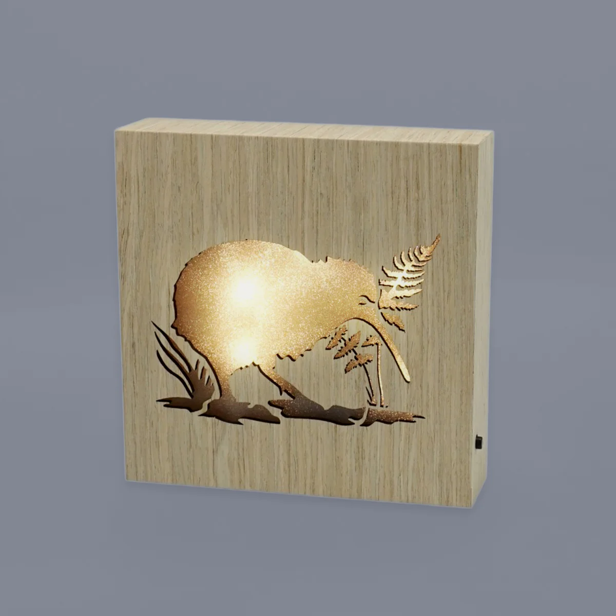 LED Kiwiana Block - 'Kiwi' - Image 2