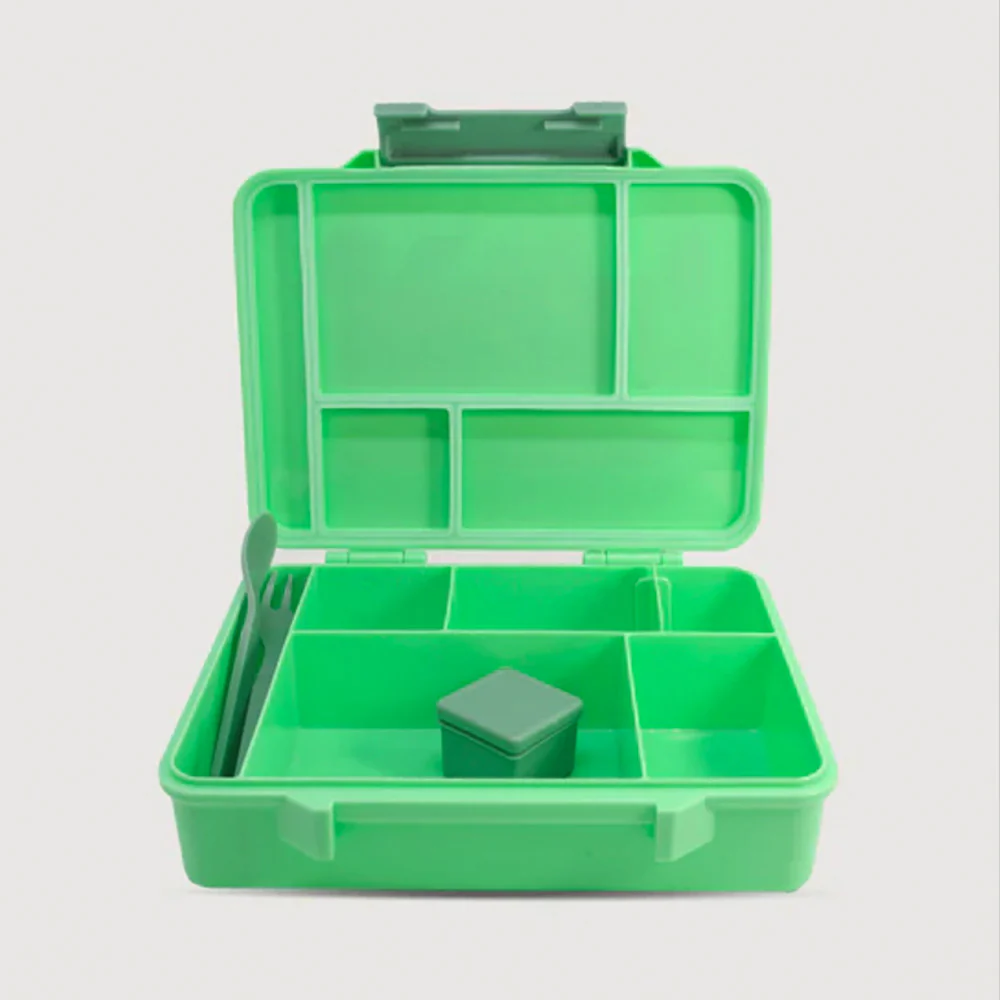 Moana RD - Kiwi Birds Lunch Box - Image 2