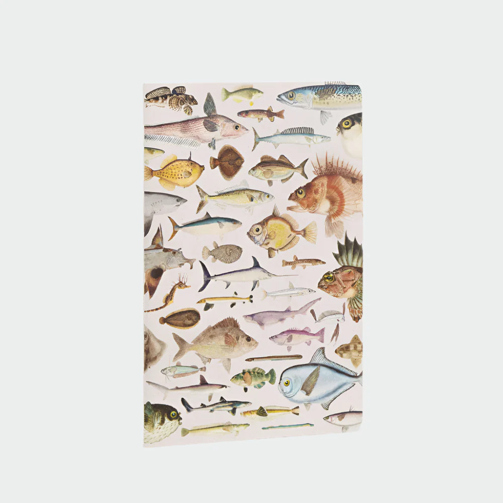 Notebooks 'Fishes Of NZ' - 3pk - Image 3