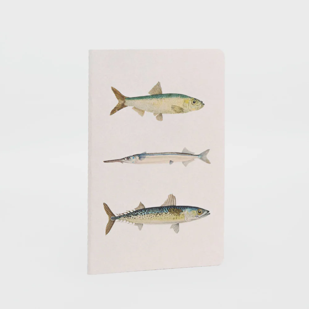 Notebooks 'Fishes Of NZ' - 3pk - Image 4