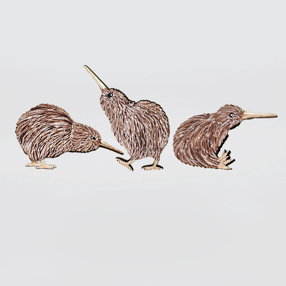 Pop Magnets 'Kiwis' Set/3