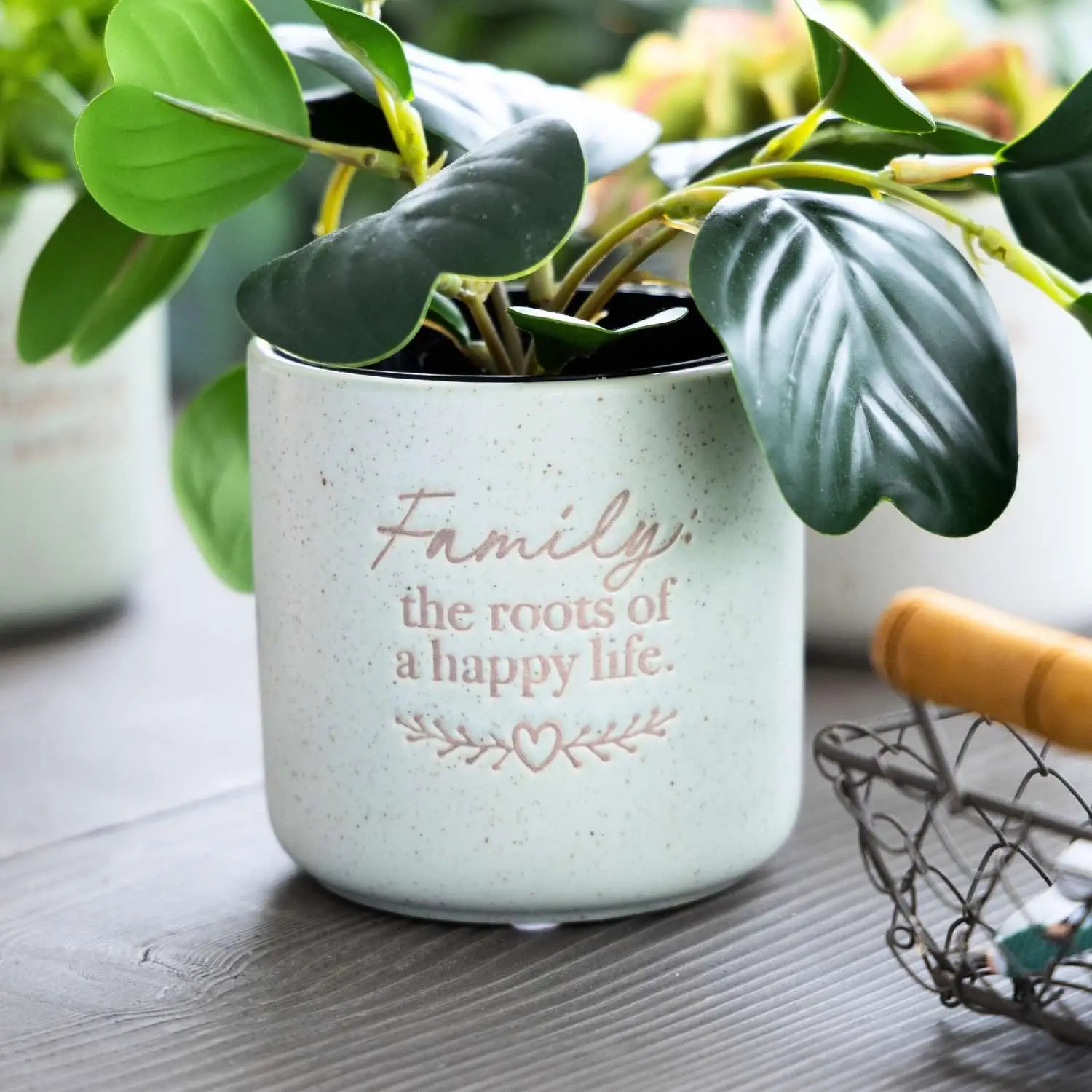 Positive Pot - Family - Image 2