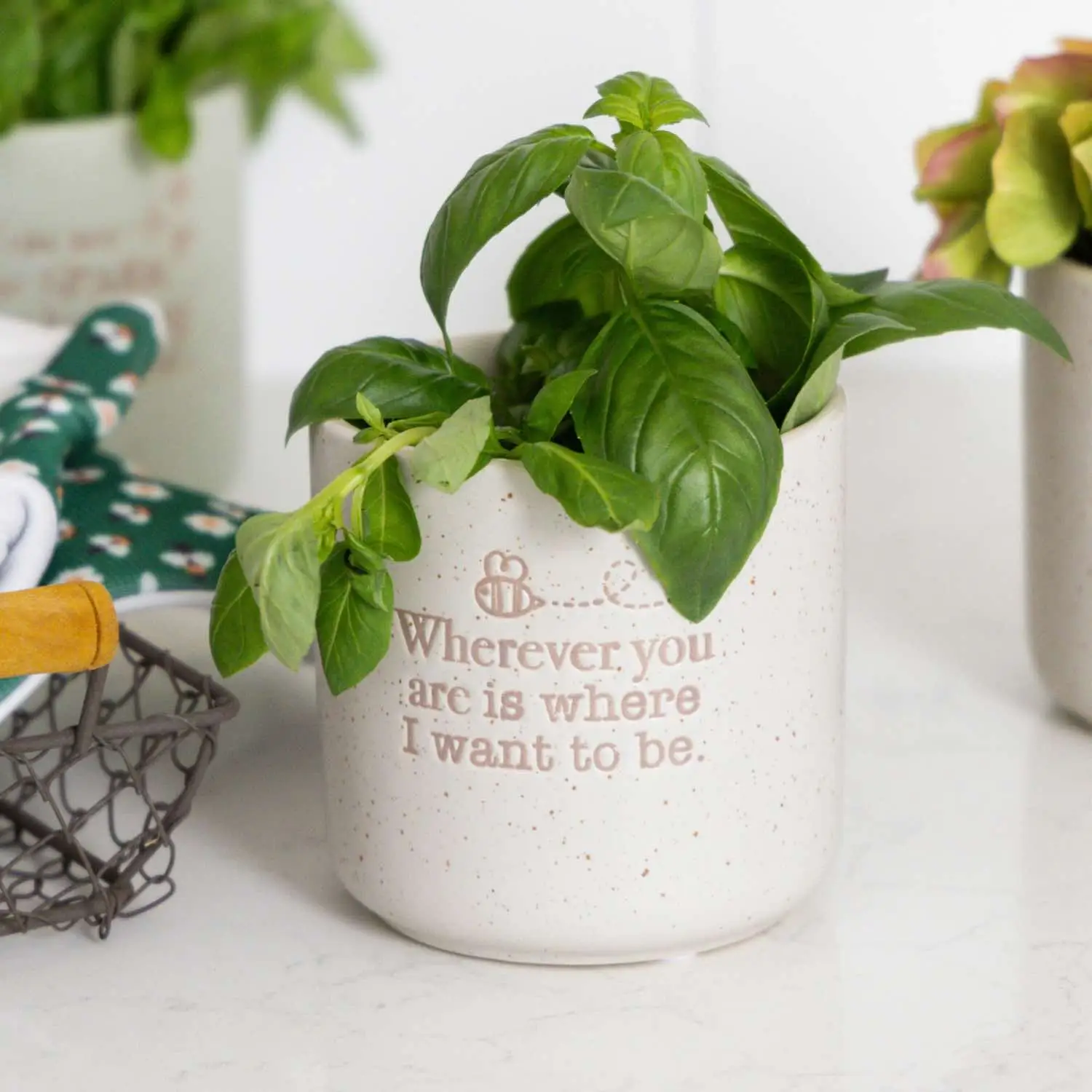Positive Pot - Wherever You Are - Image 2