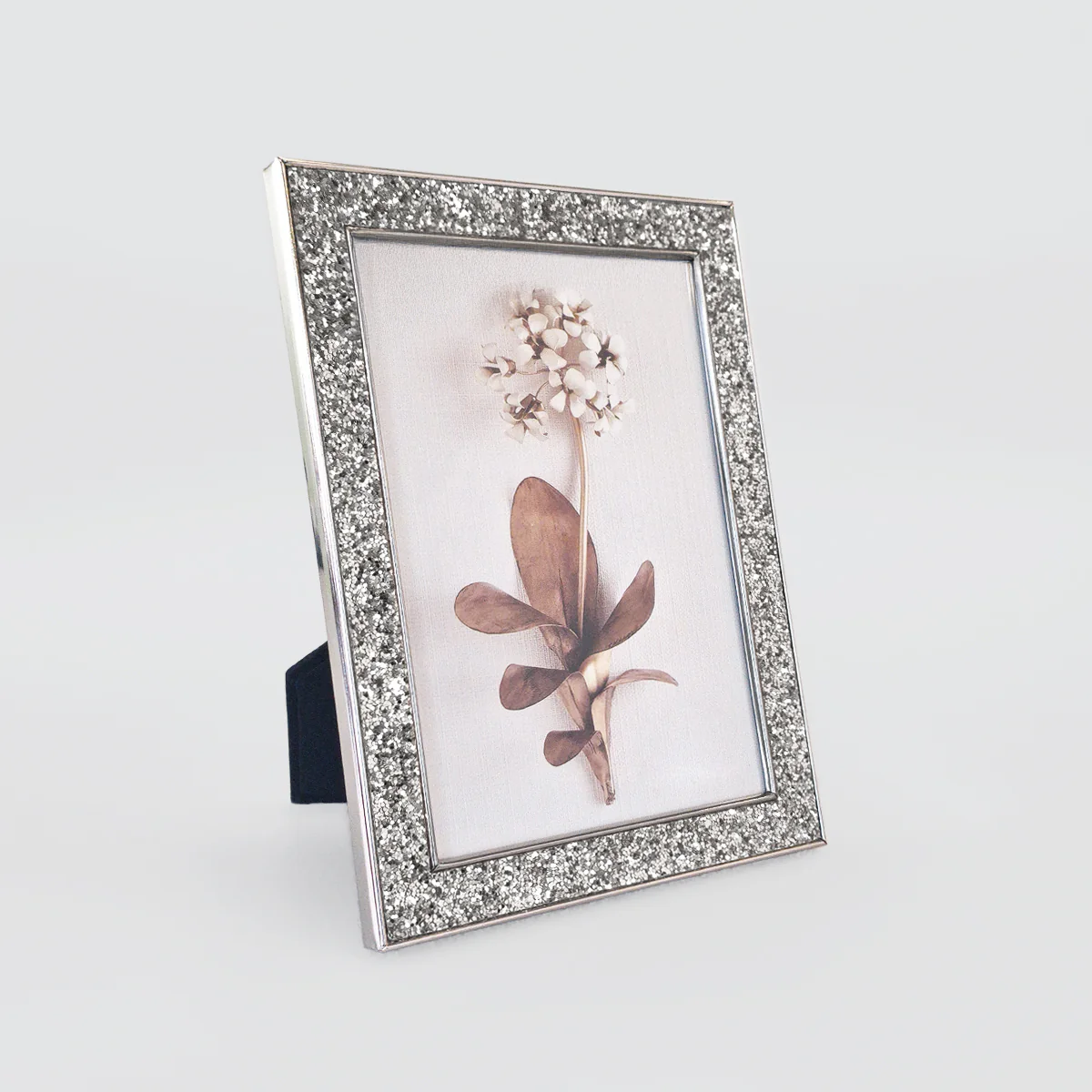 Sequin Frames