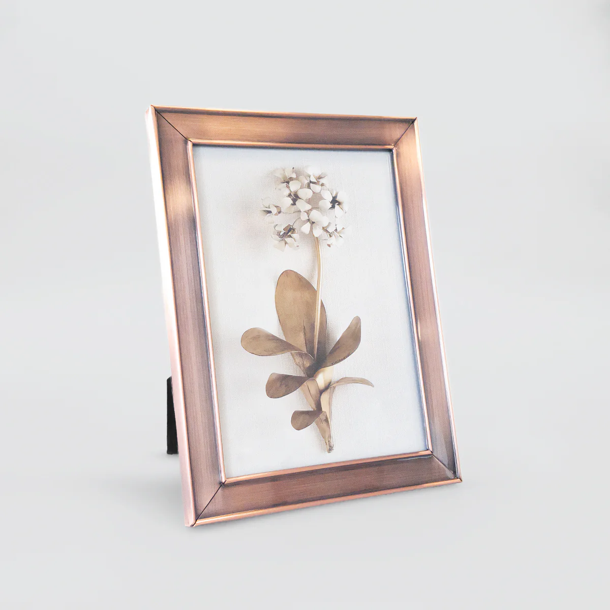 Shiny Frames