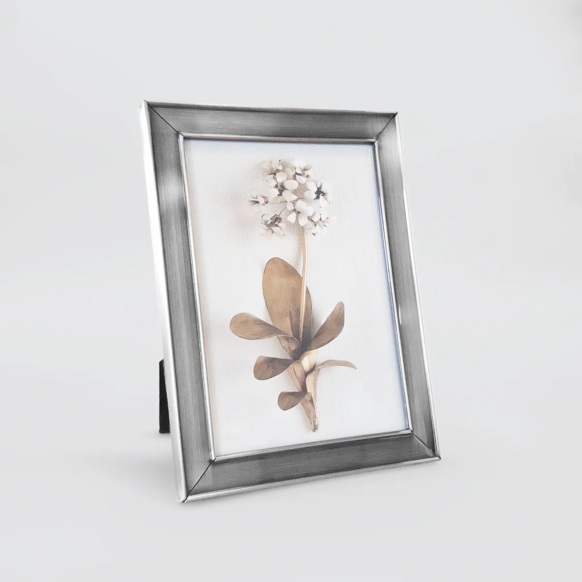 Shiny Frames - Image 2