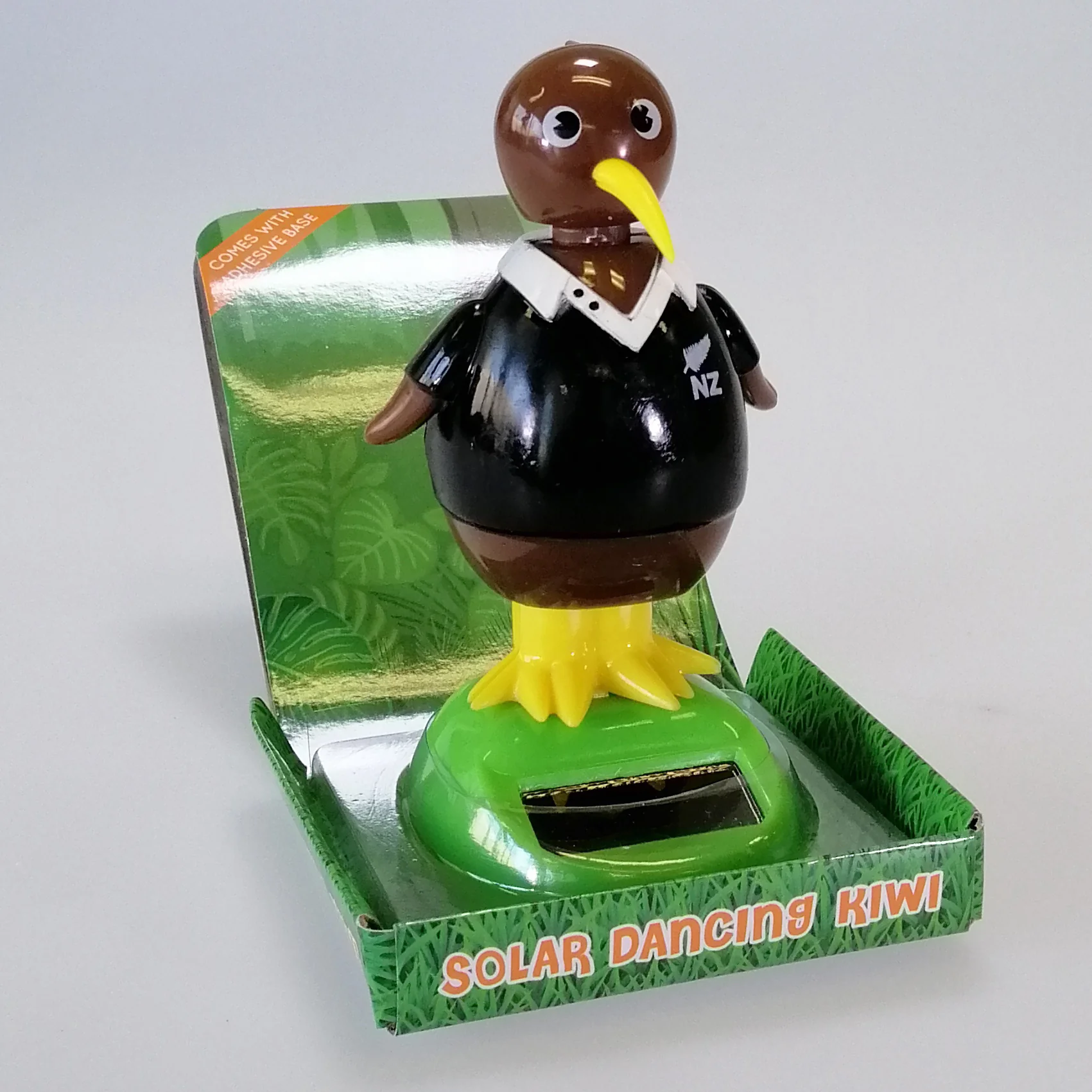 Solar Dancing All Black Kiwi - Image 4