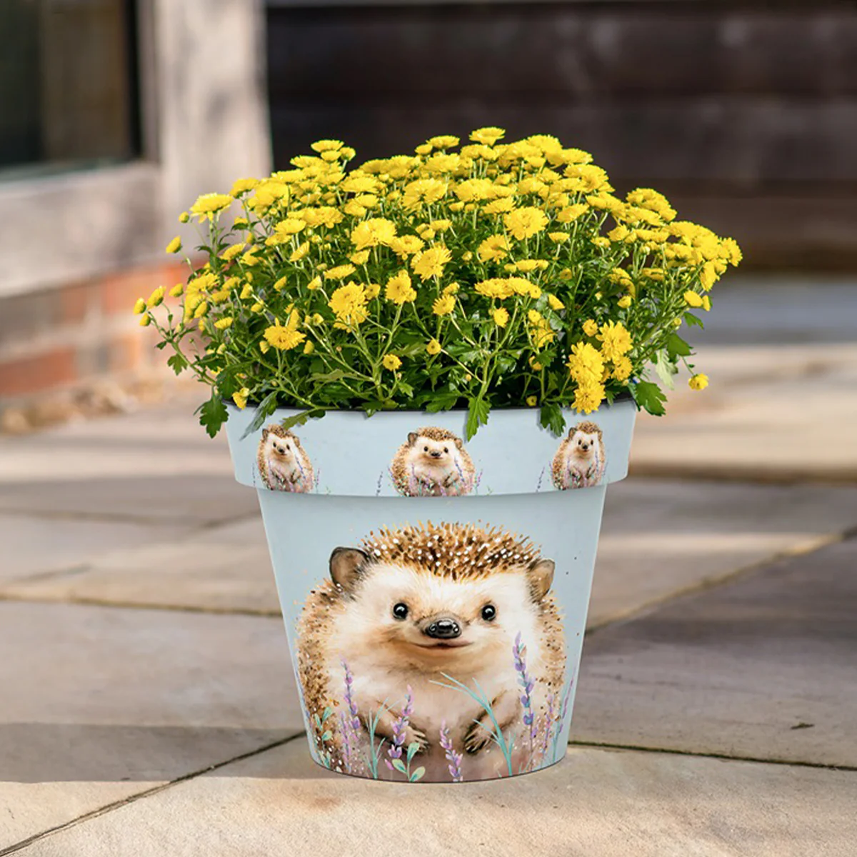 Zest Planter Pot - Hedgehog - Image 2
