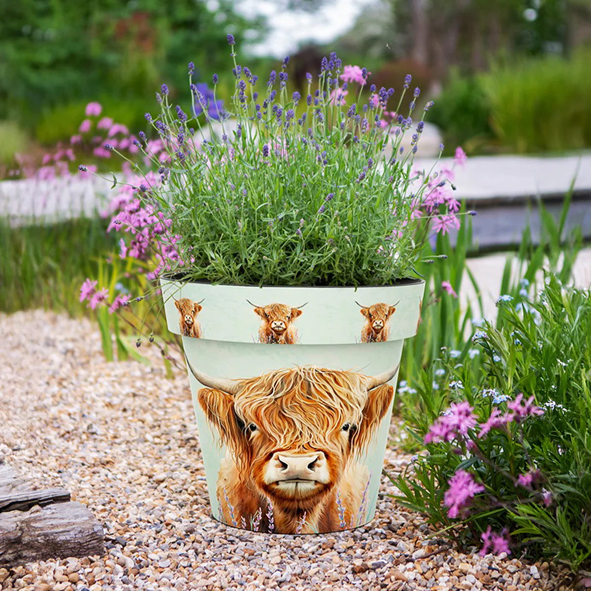 Zest Planter Pots - Highland Cow - Image 2