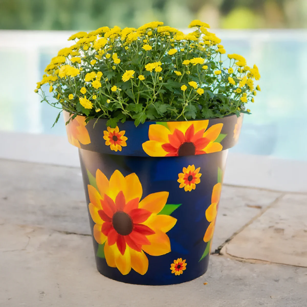 Zest Planter Pot - Sunflower - Image 2